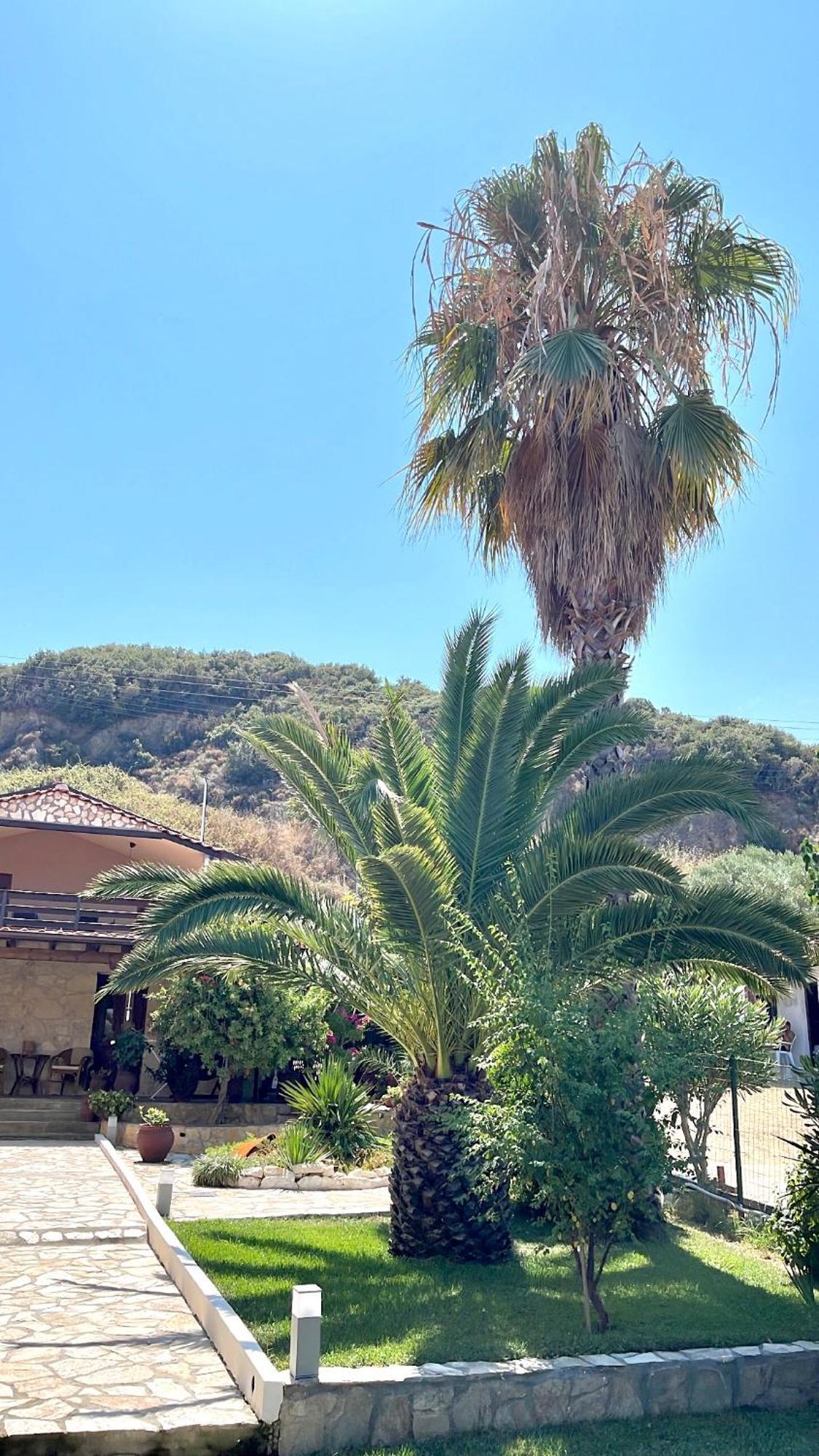 Palma Beach House Sarti Eksteriør billede